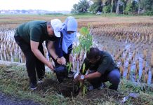 Wali Kota Solok Ikuti Sabtu Hijau dan Menanam Pohon Bersama kota solok